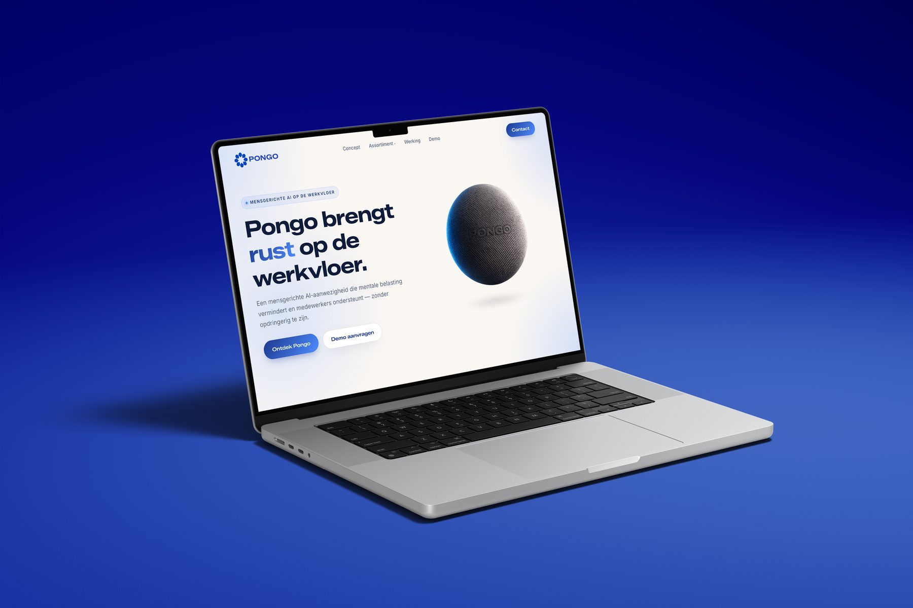 De website van Pongo op een laptop